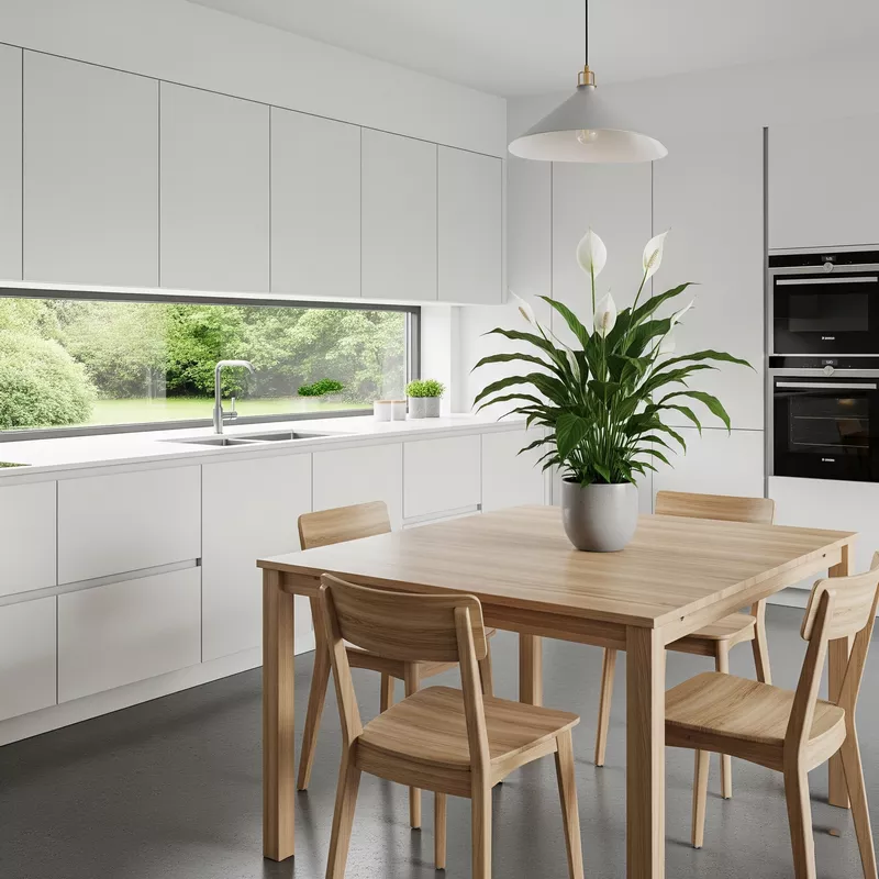 Dapur minimalis dengan tanaman peace lily di meja makan Dapur minimalis dengan tanaman peace lily di meja makan